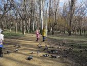 Феодосия. Комсомольский парк зимой