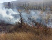 В Коктебеле в районе винзавода горел сухостой (фото)