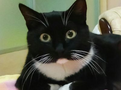 ���������� ���: ������ ���������