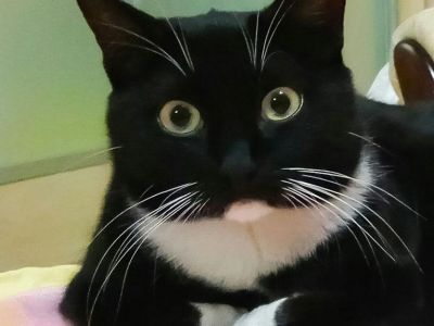 ����������� ���: ����� ��������