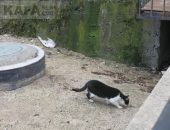 �� ����� �������� �������� ���-������