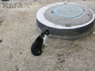 �� ����� �������� �������� ���-������