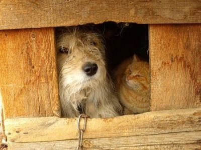 � ����� ������ ���������� ���������� �������������������� �����