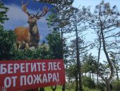 Феодосийское лесничество проводит профилактику лесов от пожара 