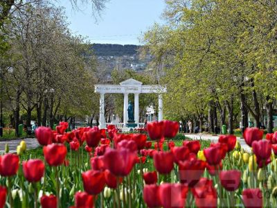 � �������� ������� ����� � ��������� ����� ����