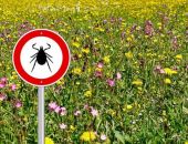 ��������: �������� ��������������� ���������