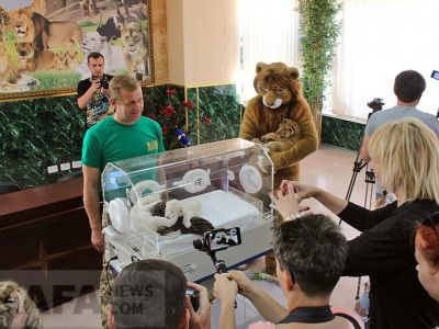 � ����� ����� �������� ������ ������ ��������� ����� (�����)