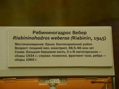 � ��������� ������������ ���� ����������� ������ �������� �������� (����)