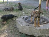 � �������� �� ���� ������ ���� ��������� 12 ������