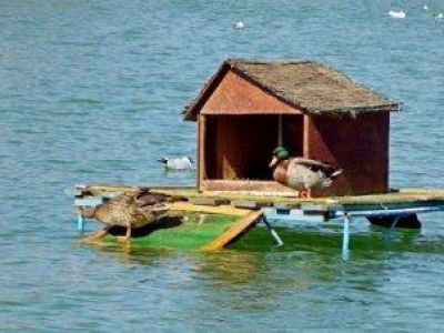 � ������ ��������� ����� ���������� �������� ���� ��� ����