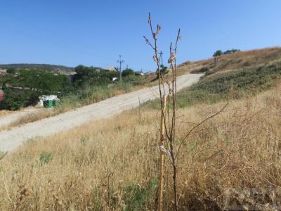 � �������� �������� ���������� ����� ���� � ��������