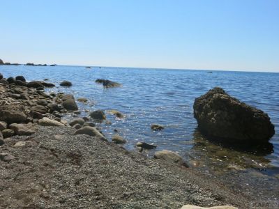 ��������� ����� �����: �������� ���
