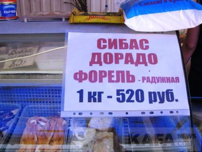 ���� �� ����� ��������