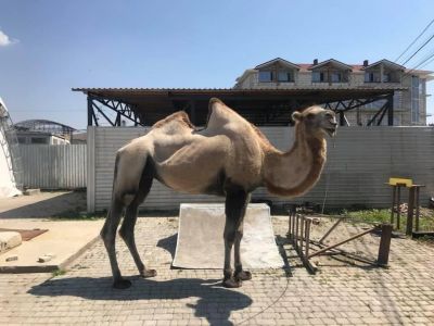 � ��������� ��������� �������� ��� ����������