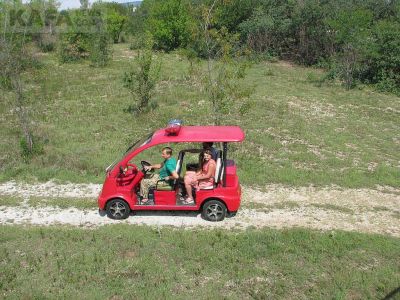 ���� ����� �������� - ����� ��������� ����