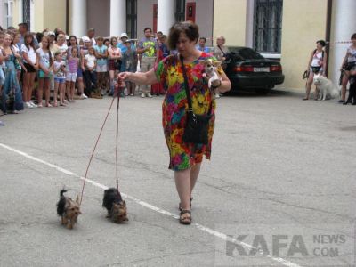 ���� ������ � �������� ������ ����� ����� (�����)