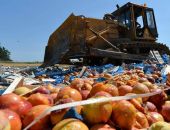 В Крыму за три года уничтожили 46 тонн качественных продуктов