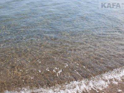 � ����� ����� ������� � �������� (�����)