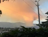 В Крыму под Ялтой тушат крупный лесной пожар
