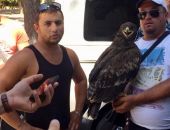 В Судаке у фотографов изъяты краснокнижные дикие птицы