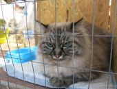 � �������� �������� �������� �����