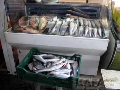 ���� �� ����� ��������