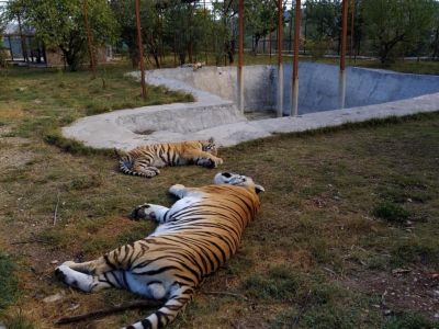���� ����� "������" � ��������