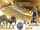 � �������� ������� ����������� �������� ����� ������ ����� 