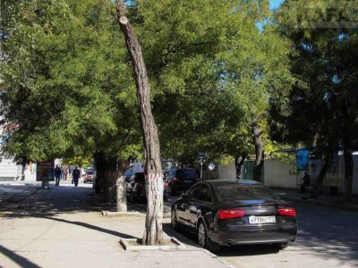 � �������� ��������� �������� �������
