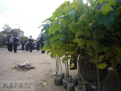 � �������� ������������ ������ ��� ���������� (�����)