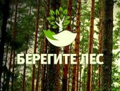 Феодосийское лесничество призывает беречь леса 