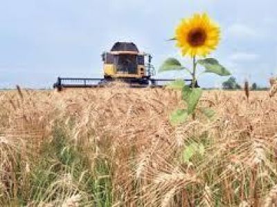 � ����� ��������� ������������ ����������������