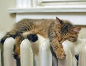 ����� ���������� � ����� ����������� 