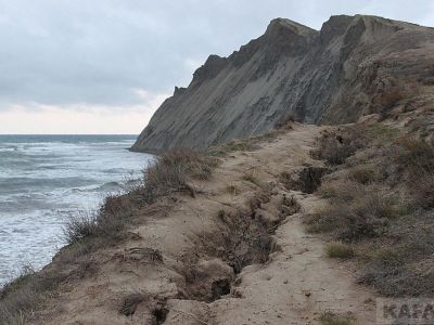 � ����� ����� �������� �������� �������������