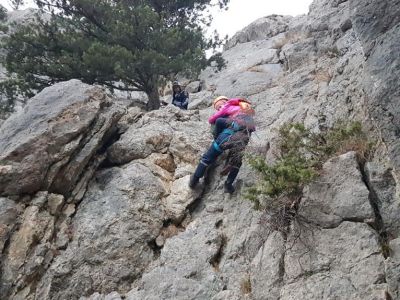 � ����� ����� ������ ��������, ������� ����� � �������������� ������ (����)