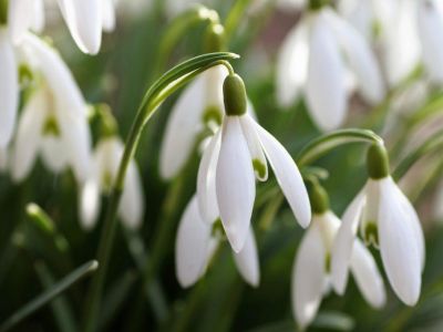 � ����� ������������ ������ �����������