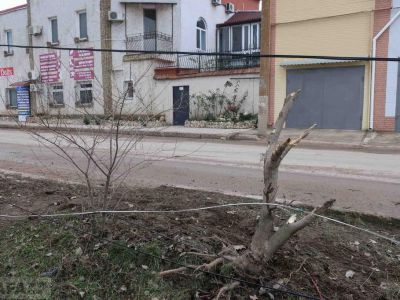 � �������� �� ����� �������� ���������� ���� ������������