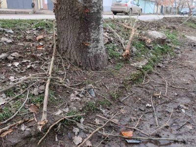 � �������� �� ����� �������� ���������� ���� ������������