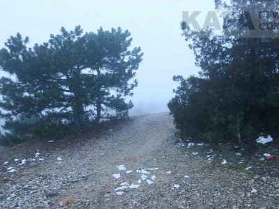� �������� ����������� �������� ��������� ������ �����
