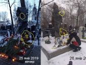 С могилы Высоцкого за ночь пропали почти все цветы