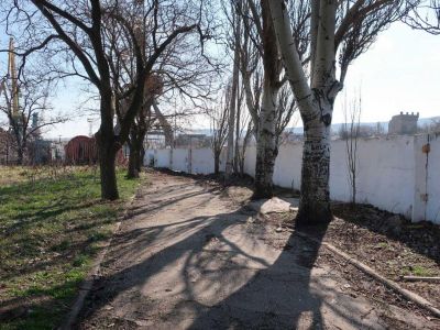 � ��������� ����������� � �������� ������������ ���� ������� ���