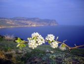 В Крыму 8 марта может быть побит 70-летний "погодный" рекорд