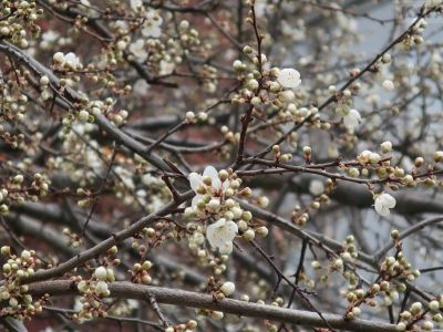 � �������� �������� ��������� �������, � ��� ����� ����...