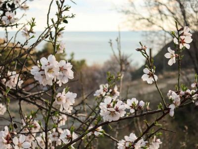 � �������� �������� ��������� �������, � ��� ����� ����...