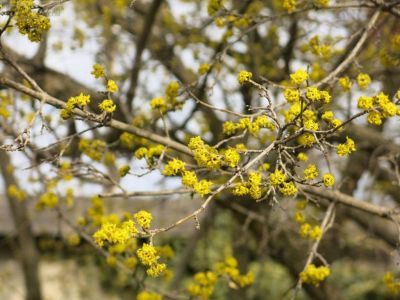 � �������� �������� ��������� �������, � ��� ����� ����...
