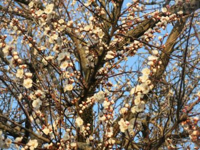 � �������� �������� ��������� �������, � ��� ����� ����...