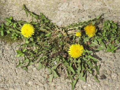 � �������� �������� ��������� �������, � ��� ����� ����...