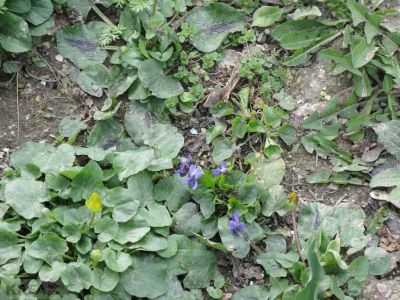 � �������� �������� ��������� �������, � ��� ����� ����...