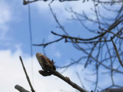 � �������� �������� ��������� �������, � ��� ����� ����...