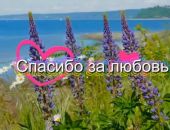 � �������� �������� ����� ������ ������� �� �������